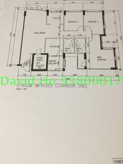 Blk 484 Choa Chu Kang Avenue 5 (Choa Chu Kang), HDB 5 Rooms #111099382